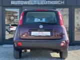 Fiat Panda My 1.2 Panda KLIMA SERVO 5TRG.1HAND Klima - Fiat Panda: 5.5