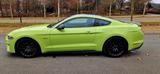 Ford Mustang 5.0 Ti-VCT V8 GT Deutsche Ausführung ! - : Sportwagen, Deutsche