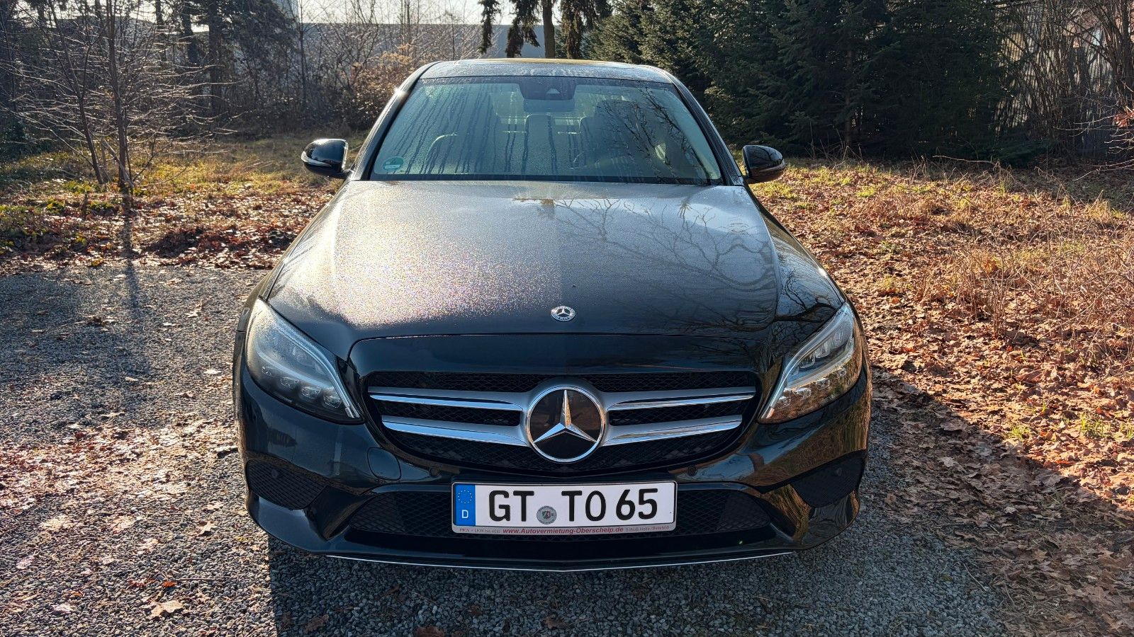 Fahrzeugabbildung Mercedes-Benz Limousine  Buisiness Pkus