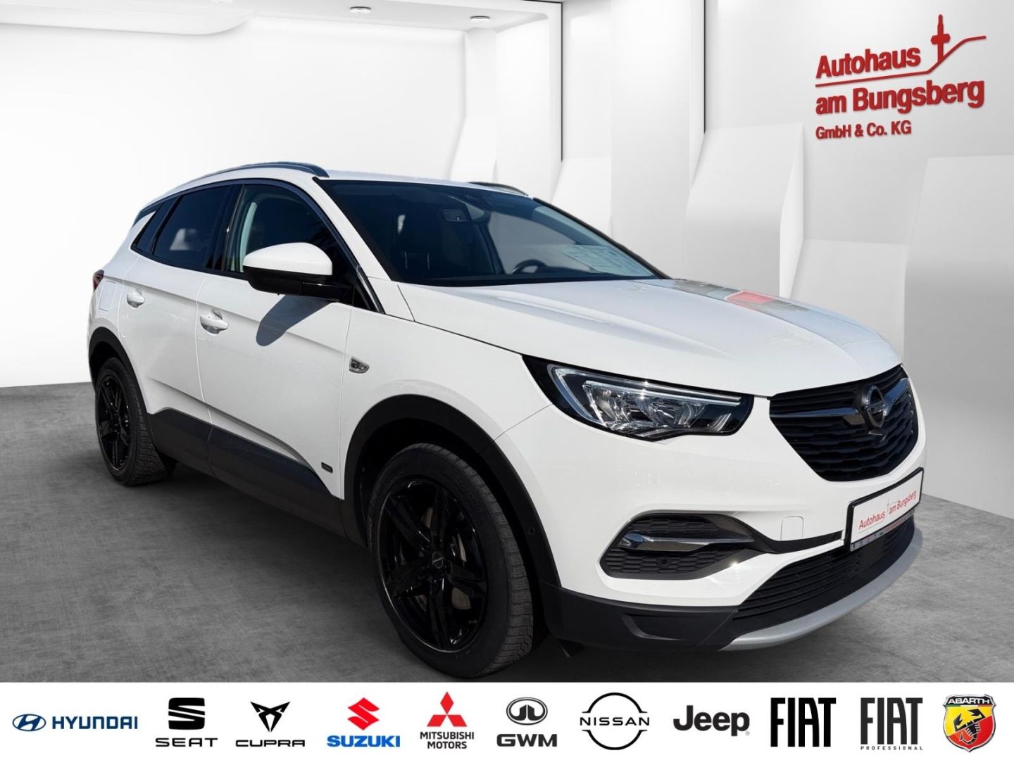 Opel Grandland X Elegance 1.6 Turbo Plug-in-Hybrid*36 imagem 2