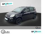 Fiat Panda Easy - Fiat Panda Gebrauchtwagen in Bremen