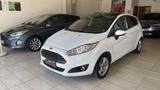 Ford Fiesta 1.5 TDCi 75CV 5 porte Black & White  - Ford Fiesta: Black