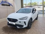 Cupra Formentor 2.0TDI DSG 4Drive 18*Alu/ACC/LED/Kamer - Cupra Formentor aus 2024