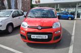 Fiat Panda Urban - Fiat Panda Gebrauchtwagen in Dortmund