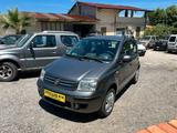 Fiat Panda 1.3 MJT 16V Emotion - Fiat Panda Emotion mit Diesel-Antrieb