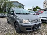 Fiat Panda 1.2 8V Dynamic* Klima* TÜV *Coc *rostfrei - Fiat Panda Gebrauchtwagen in München