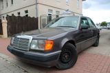 Mercedes-Benz Mercedes Benz 250D |Restorierungsbedürftig| - : Braun, Mercedes