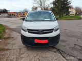 Opel Vivaro - Opel Vivaro in Halle