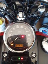 Harley-Davidson Fat Bob - gebrauchte Motorräder in Hamm