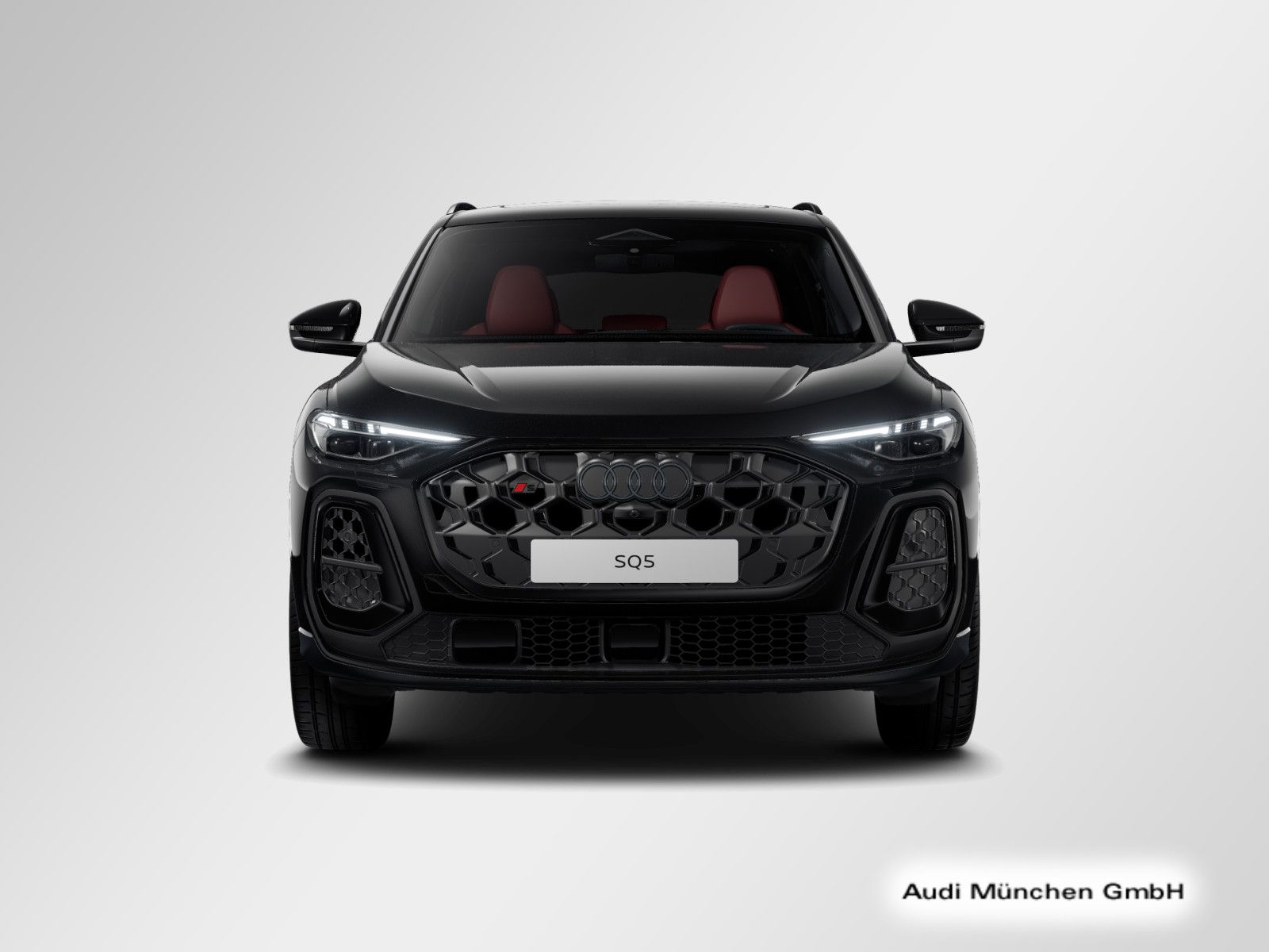 Audi SQ5 - Bild 5