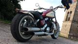 Honda Shadow (USA) - Angebote