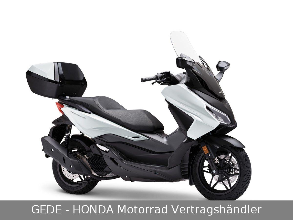 Honda Forza 125 2025 Abverkauf *weiß + grau + blau*