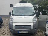 Fiat Ducato - Fiat Ducato in Wiesbaden