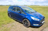 Ford Galaxy 2,0 TDCi 132kW Business 