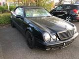 Mercedes-Benz Mercedes CLK 230 Cabrio  8fach bereift; Lu... - Mercedes-Benz CLK 230 aus 1998