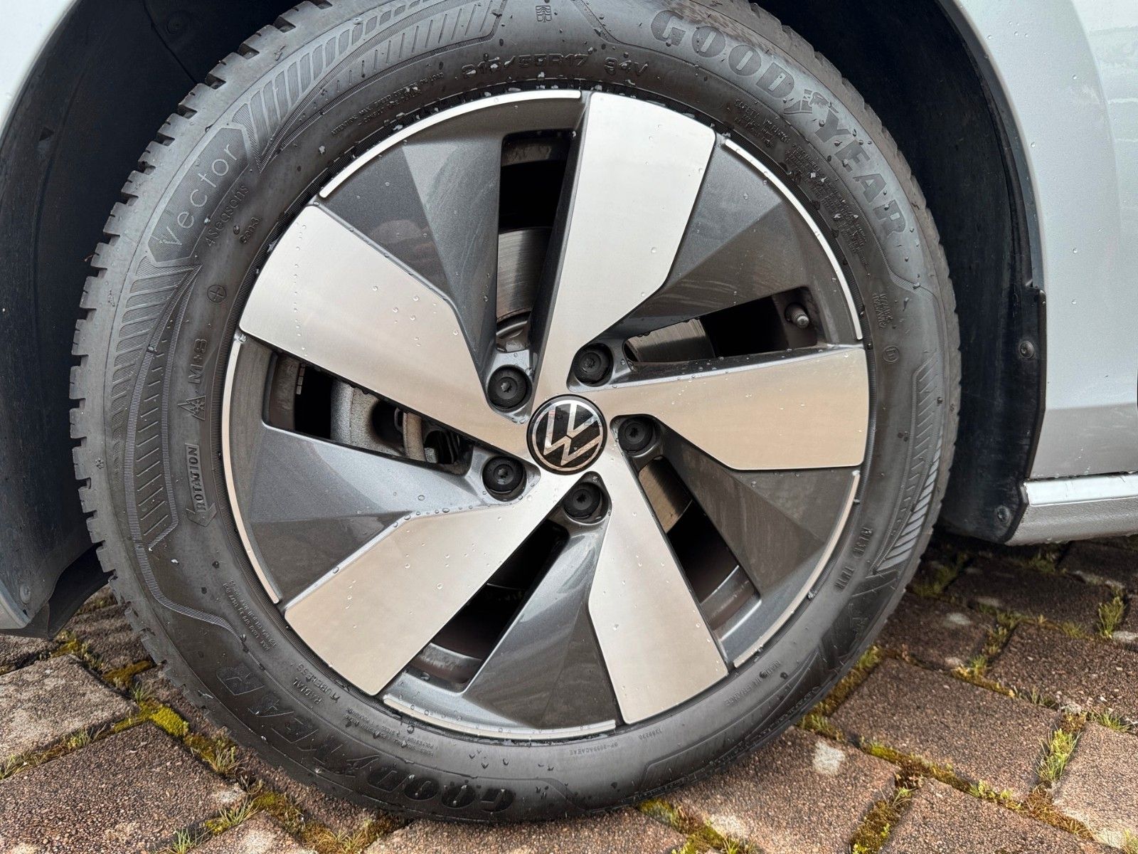 Fahrzeugabbildung Volkswagen Passat Variant 1.5 eTSI Business