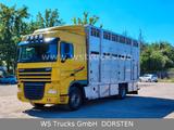 DAF XF 410 SC Menke Doppelstock - Daf XF 410