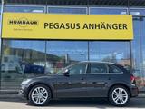 Audi SQ5 3.0 TDI quattro PKW SUV - Audi: Pkw