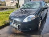 Fiat Punto 1.2 8V - - Fiat Punto in Hagen