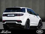 Land Rover Discovery Sport P200 R-Dynamic SE Winterpaket -  - Land Rover Discovery Sport aus 2023