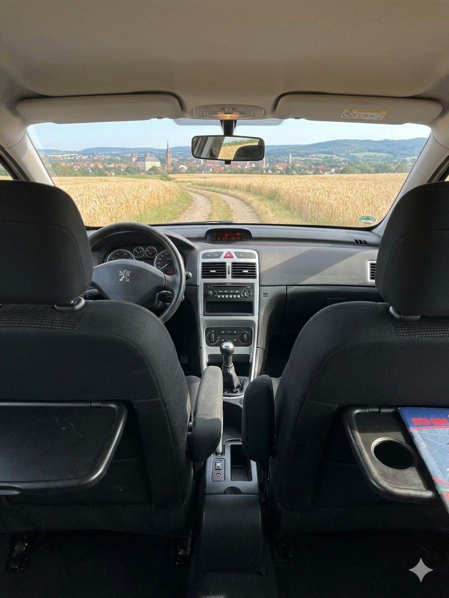Peugeot 307 2007 — photo 9