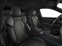 Audi SQ5 - Vorschau Bild 10