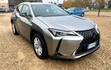 Lexus UX Hybrid Business - gebrauchte Lexus Kombis