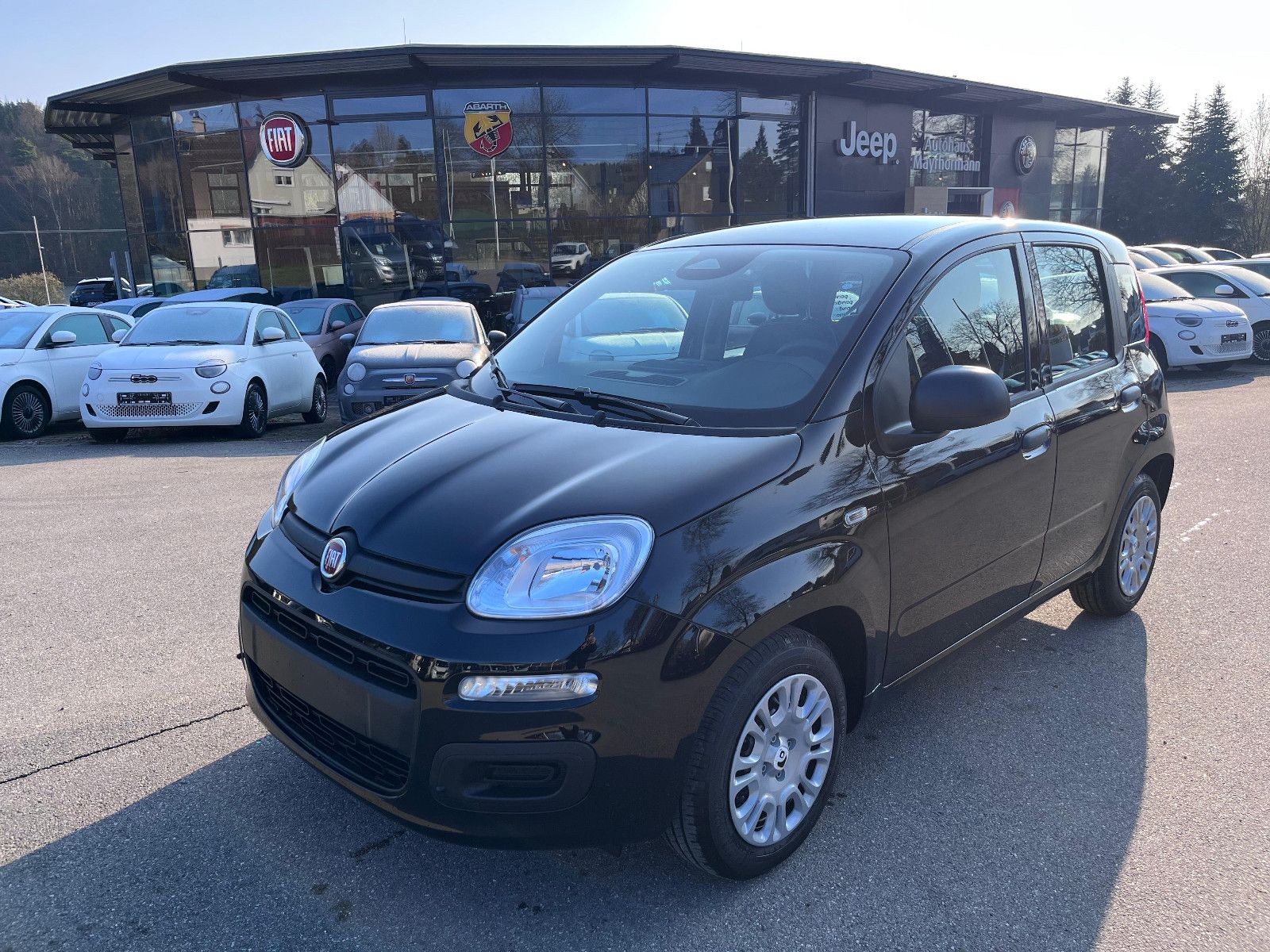 Fahrzeugabbildung Fiat Panda