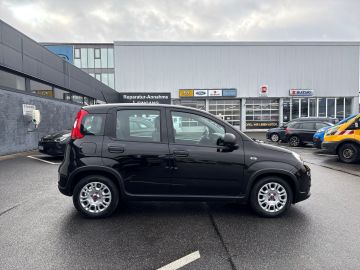 Bild 6 Fiat Panda Base 1.0 Mild Hybrid DAB Klima teilb.Rücks