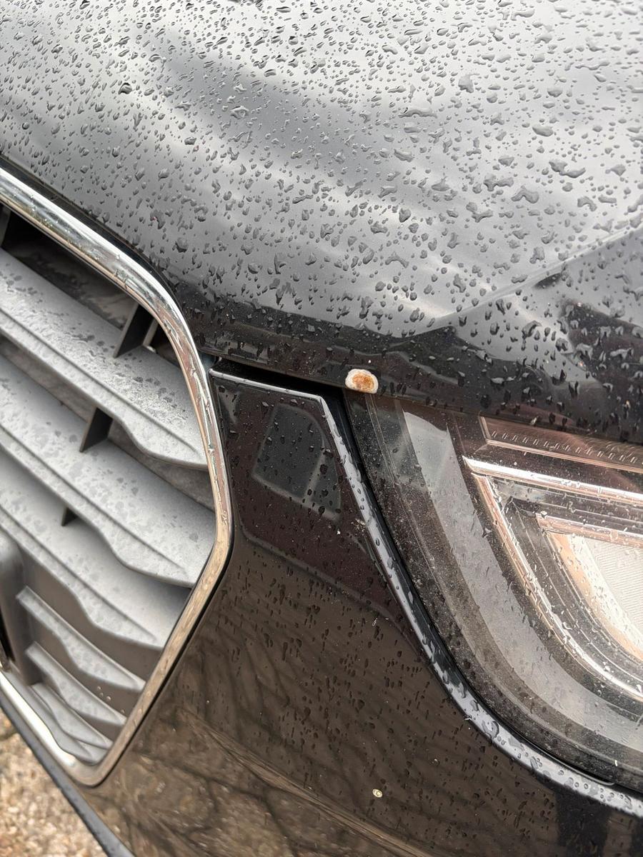 Audi A4 2013 — photo 7