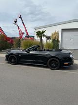 Ford Mustang 5.0 Ti-VCT V8 GT Auto GT - Ford Mustang Gebrauchtwagen in Frankfurt