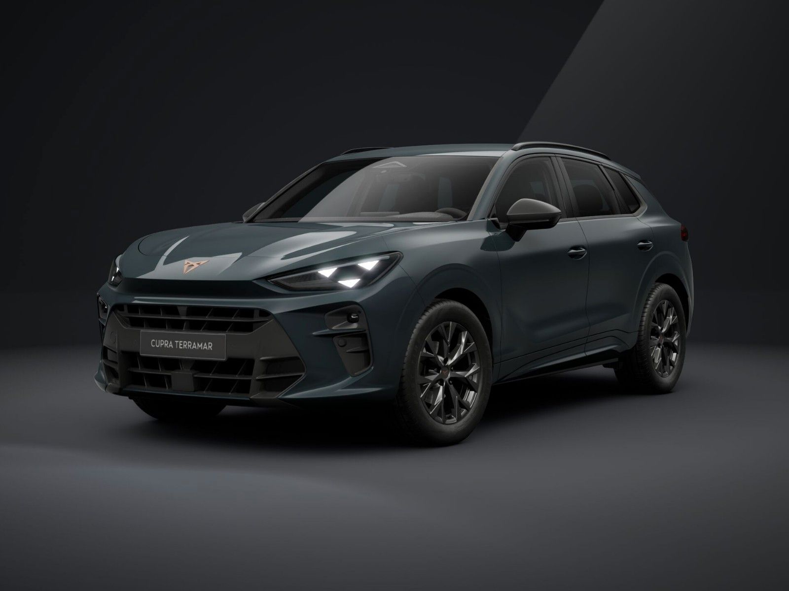 Cupra Terramar - Bild 2