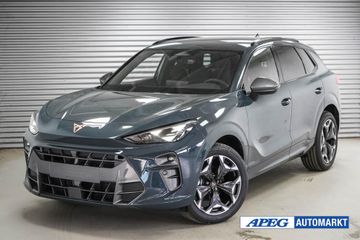Cupra Terramar - 1