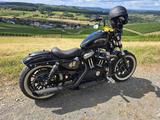 Harley-Davidson Sportster 1200X Forty Eight - HARLEY-DAVIDSON SPORT
