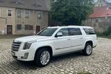 Cadillac Escalade 6.2 V8 Platinum ESV Autom. Platinum - Cadillac Escalade: Esv Platinum