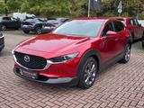 Mazda CX-30 2.5 M Hybrid Exclusive-line *Bose*Matrix-L - Mazda CX-30 in Wuppertal