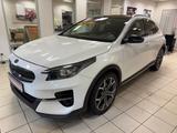 Kia XCeed Platinum Edition/SCHECKHEFT/LED/NAVI - Kia XCeed Platinum mit Benzin-Antrieb