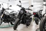 Benelli Leoncino 500, sofort lieferbar, Lieferservice - BENELLI LEONCINO 500