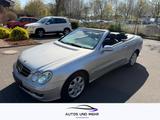 Mercedes-Benz CLK Cabrio CLK 240 (209.461) Klima Xenon Navi - Mercedes-Benz: 461