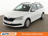 Skoda Fabia 1.0 TSI Ambition*TEMPO*SHZ*KLIMA*GARANTIE* - Skoda Fabia Gebrauchtwagen in Köln