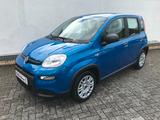 Fiat Panda MY24 1.0 GSE Hybrid Klimaanlage - Fiat Panda Gebrauchtwagen in Aachen