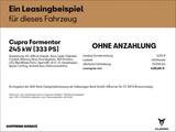 Cupra Formentor VZ 2.0 TSI DSG 4Drive AHK SENNHEISER M - Cupra Formentor Gebrauchtwagen
