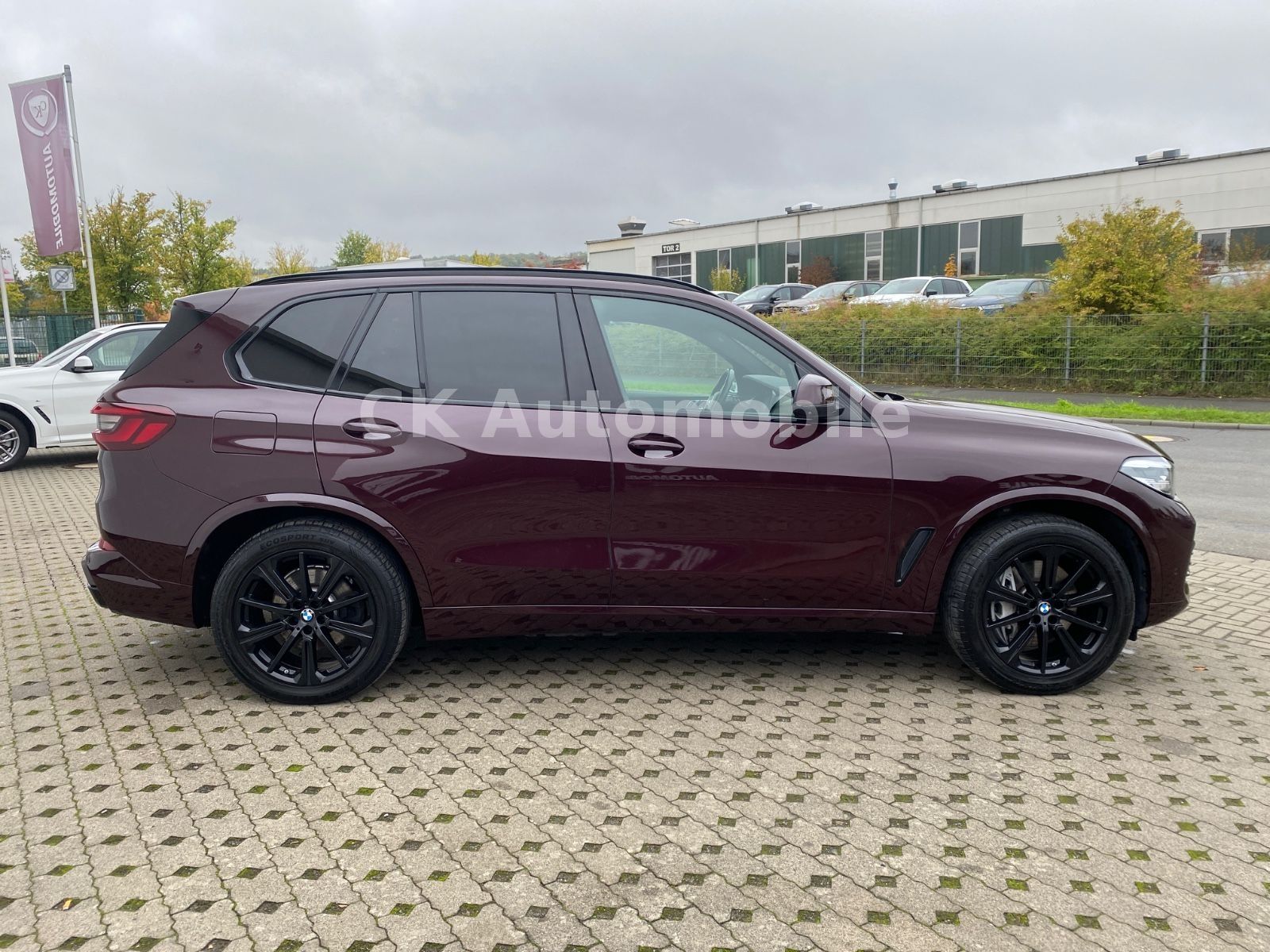 Fahrzeugabbildung BMW X5 xDrive 45e Individual/HeadUp/360°Kam/LED/AHK