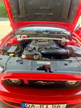 Ford Mustang - Ford Mustang: Rot