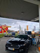 Ford Mustang - Ford Mustang in Mannheim