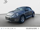Volkswagen Beetle Cabriolet 1.2 TSI Leder*18Z*GRA*PDC*DAB+* - Volkswagen Beetle: Cabrio