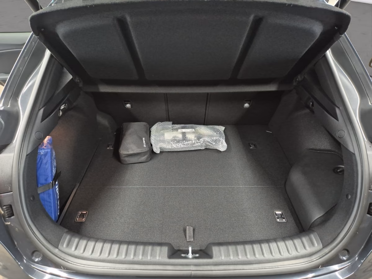 Kia XCeed Platinum 1.6 GDI Plug-In Hybrid LED Navi