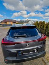 Lexus UX 250h Style Edition Style Edition - Lexus UX aus 2023