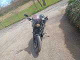 Harley-Davidson VRSCDX - HARLEY-DAVIDSON VRSC