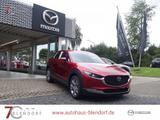 Mazda CX-30 Exclusive-Line X 186 Automatik|Matrix-LED| - Mazda CX-30: Exclusive Line